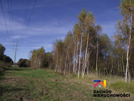 Działka siedliskowa 3648m2 - Radomia-Orzewo